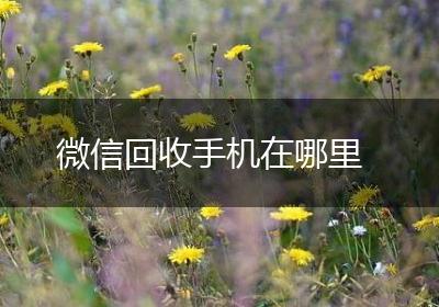 微信回收手机在哪里
