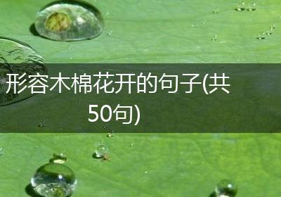 形容木棉花开的句子(共50句)