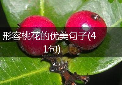 形容桃花的优美句子(41句)