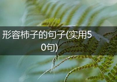 形容柿子的句子(实用50句)