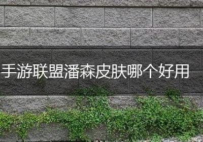 手游联盟潘森皮肤哪个好用