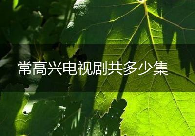 常高兴电视剧共多少集