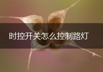 时控开关怎么控制路灯