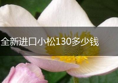 全新进口小松130多少钱