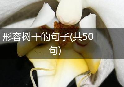 形容树干的句子(共50句)