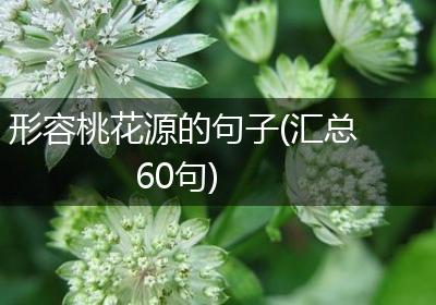 形容桃花源的句子(汇总60句)