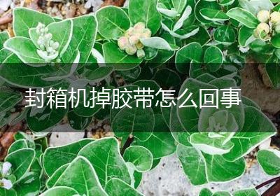 封箱机掉胶带怎么回事
