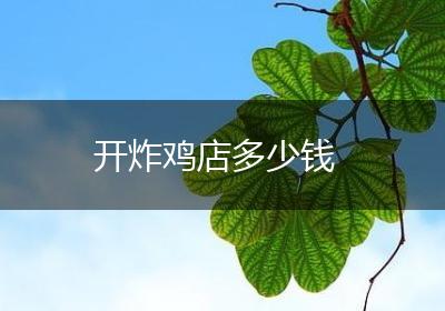 开炸鸡店多少钱