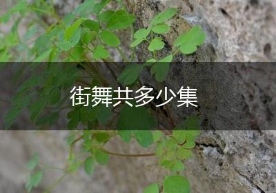 街舞共多少集