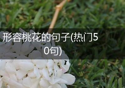 形容桃花的句子(热门50句)