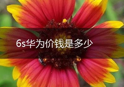 6s华为价钱是多少