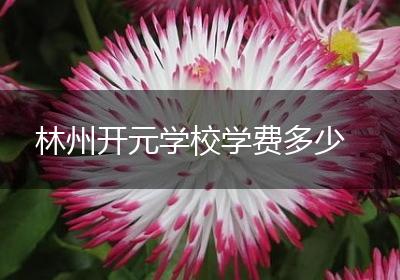 林州开元学校学费多少