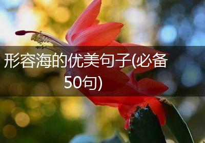 形容海的优美句子(必备50句)