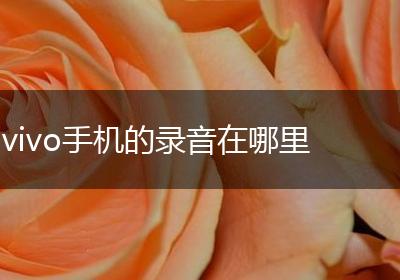 vivo手机的录音在哪里