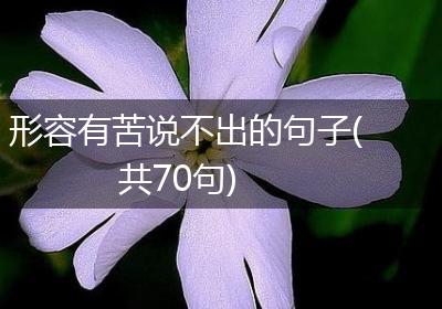 形容有苦说不出的句子(共70句)