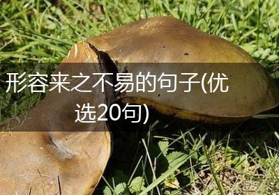 形容来之不易的句子(优选20句)