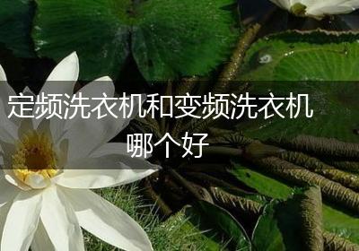 定频洗衣机和变频洗衣机哪个好