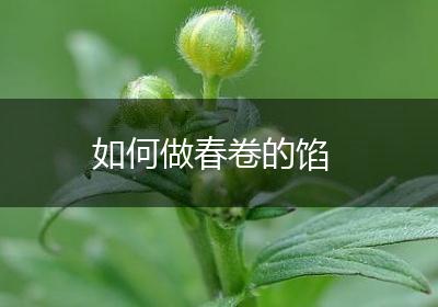 如何做春卷的馅