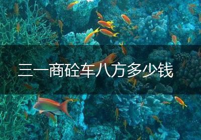 三一商砼车八方多少钱