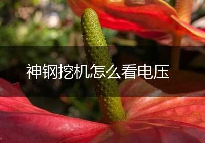 神钢挖机怎么看电压