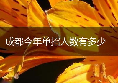 成都今年单招人数有多少