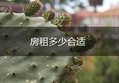 房租多少合适
