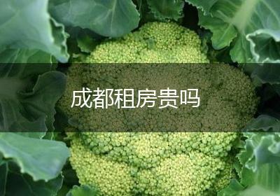 成都租房贵吗