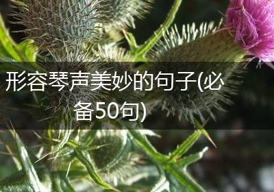 形容琴声美妙的句子(必备50句)