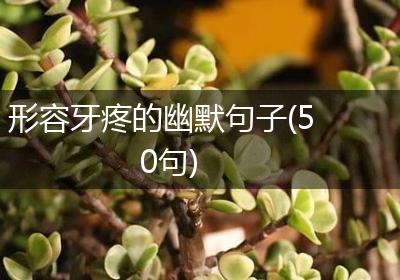形容牙疼的幽默句子(50句)