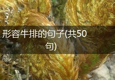 形容牛排的句子(共50句)
