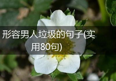 形容男人垃圾的句子(实用80句)