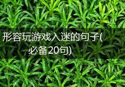 形容玩游戏入迷的句子(必备20句)