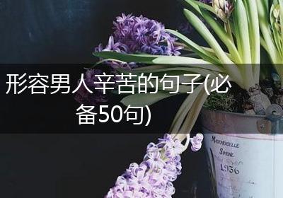 形容男人辛苦的句子(必备50句)