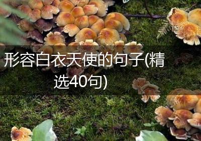 形容白衣天使的句子(精选40句)