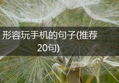 形容玩手机的句子(推荐20句)