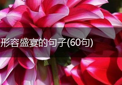 形容盛宴的句子(60句)