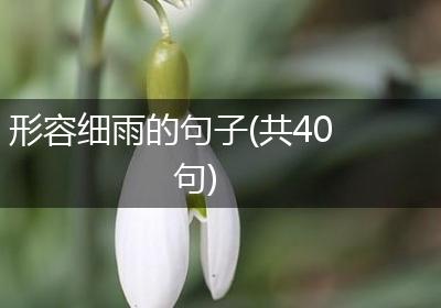 形容细雨的句子(共40句)