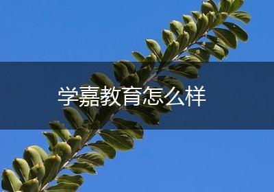 学嘉教育怎么样