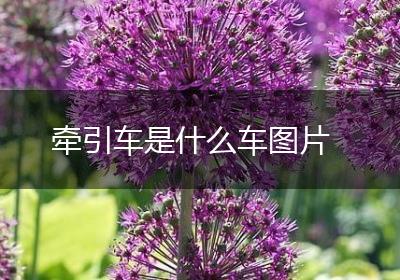 牵引车是什么车图片