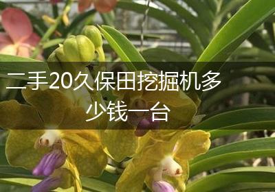 二手20久保田挖掘机多少钱一台