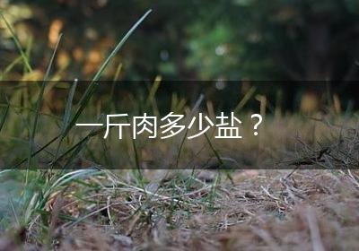一斤肉多少盐？