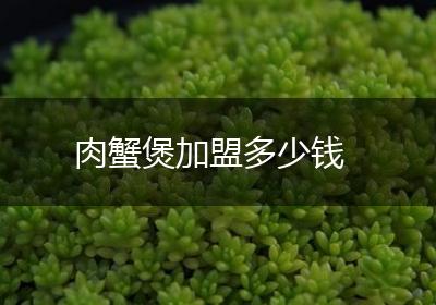 肉蟹煲加盟多少钱