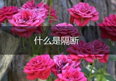 什么是隔断