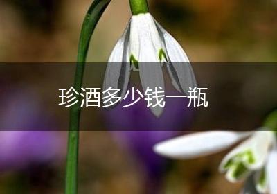 珍酒多少钱一瓶
