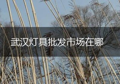 武汉灯具批发市场在哪
