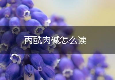 丙酰肉碱怎么读
