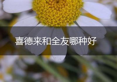 喜德来和全友哪种好
