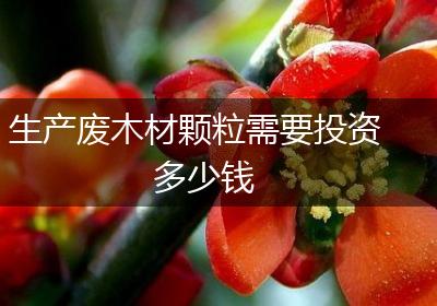 生产废木材颗粒需要投资多少钱