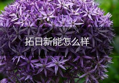 拓日新能怎么样
