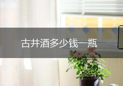 古井酒多少钱一瓶